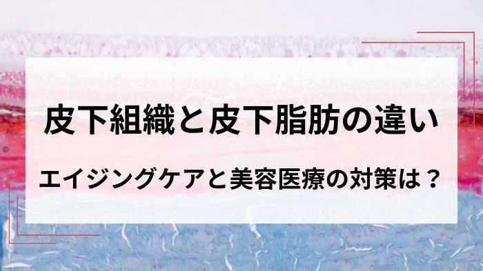 皮下組織と皮下脂肪の違い