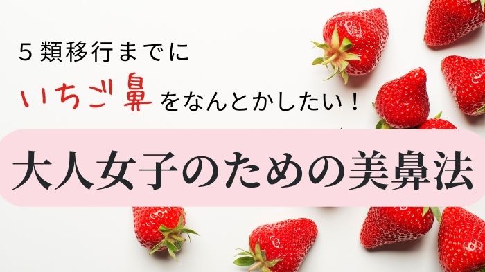 5類移行までにいちご鼻をなんとかしたい！大人女子のための美鼻法