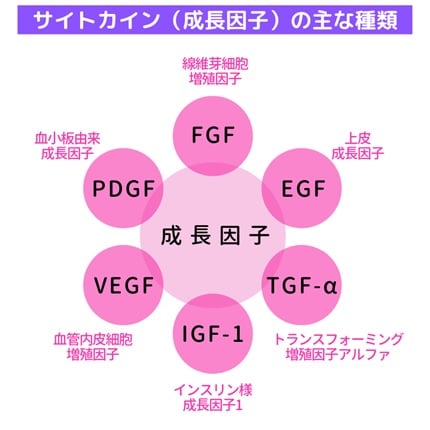 ヒト幹細胞培養上清液の成長因子