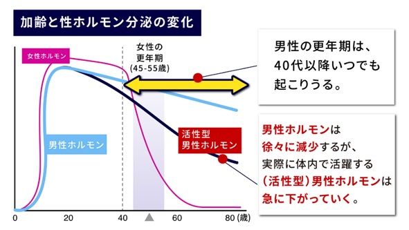 加齢と性ホルモン分泌の変化