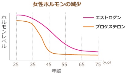 エイジングと女性ホルモン