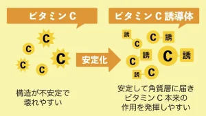 ビタミンcと誘導体