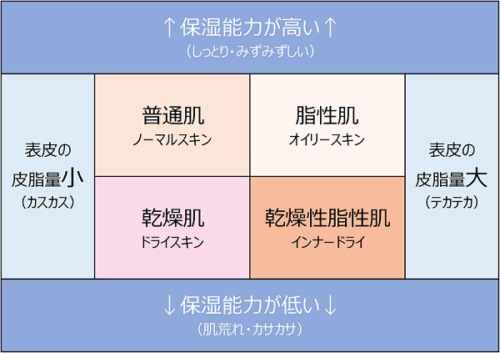 クレンジング コレクション 分類