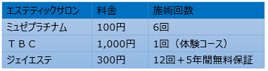 エステティックサロンの料金プラン