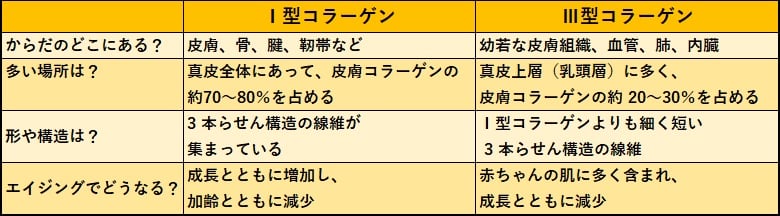 Ⅲ型コラーゲンは赤ちゃん肌の源！肌のハリと柔らかさの源 | エイジングケアを本気で学ぶ情報サイト｜ナールスエイジングケアアカデミー