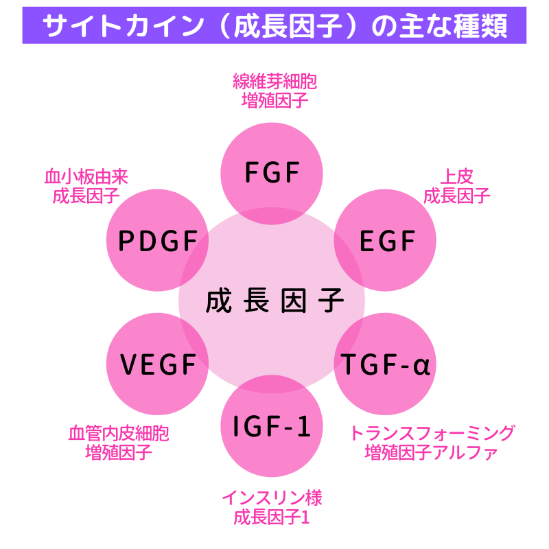 ヒト幹細胞コスメとは？効果と役割、安全性を知ろう! | エイジングケアを本気で学ぶ情報サイト｜ナールスエイジングケアアカデミー