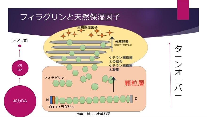 nmf 天然保湿因子 ストア 美容液