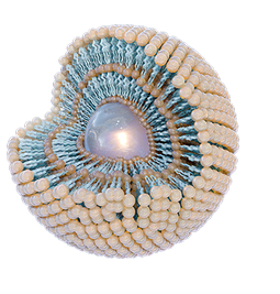 分子多重層カプセル