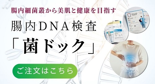 腸内DNA検査「菌ドック」を注文する